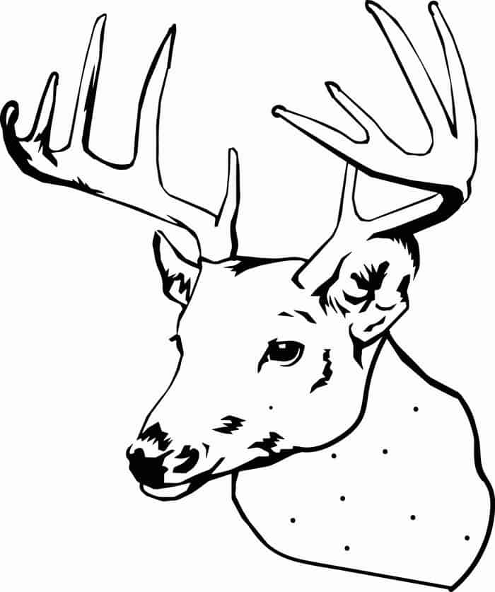 Coloring Pages Of Deer Heads