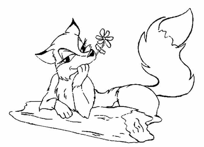 Coloring Pages Of Fox