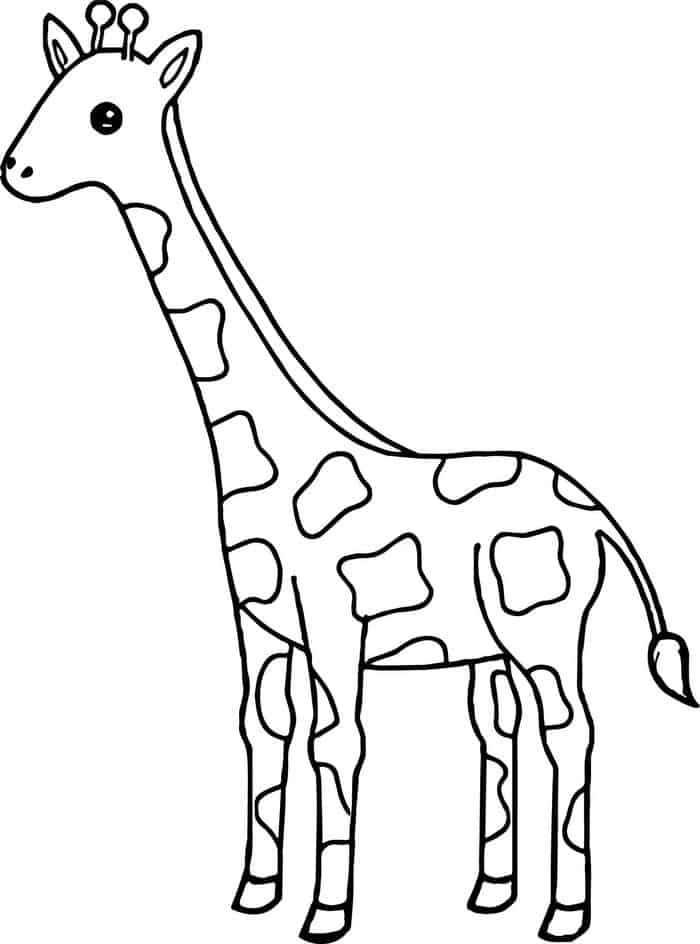Coloring Pages Of Giraffe