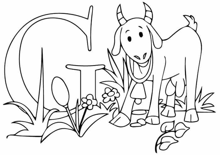 Coloring Pages Of Goat