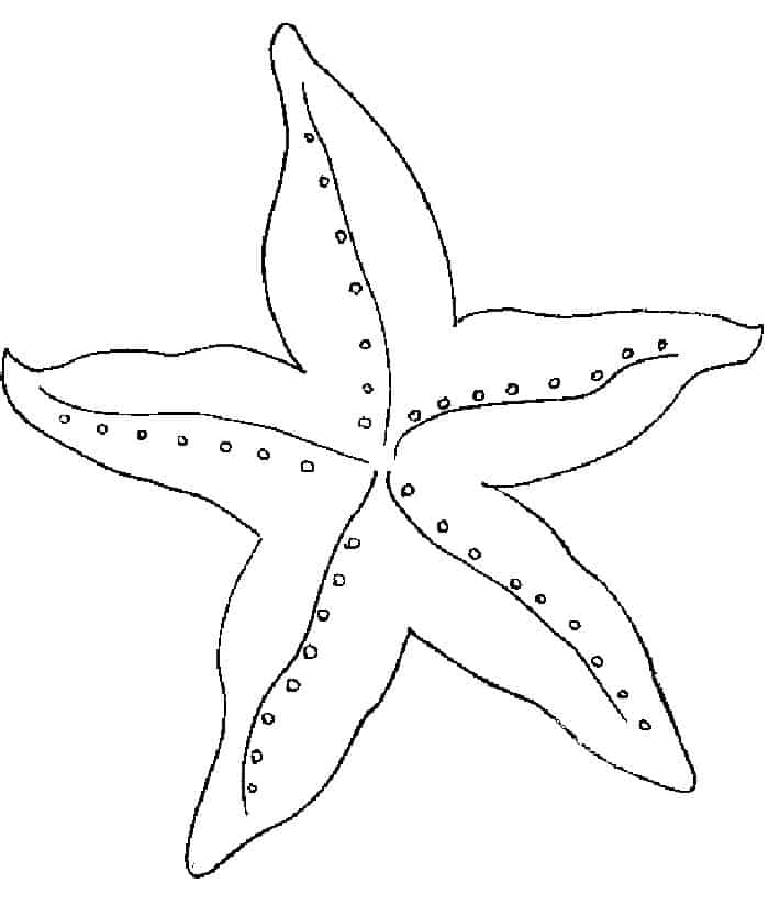 Coloring Pages Of Starfish