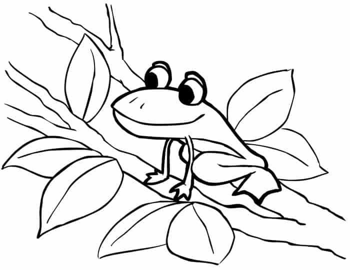 Coloring Pages Tree Frog