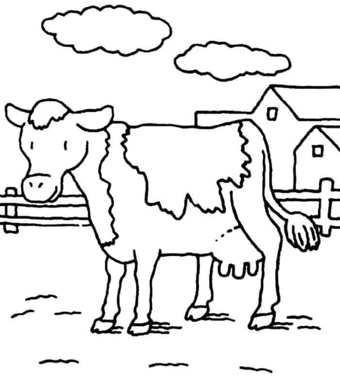 Conic Projection Cattle Trails And Cow Towns Coloring Pages