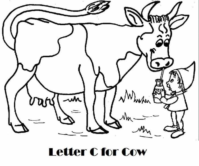 Cow Boyshoot Out Coloring Pages