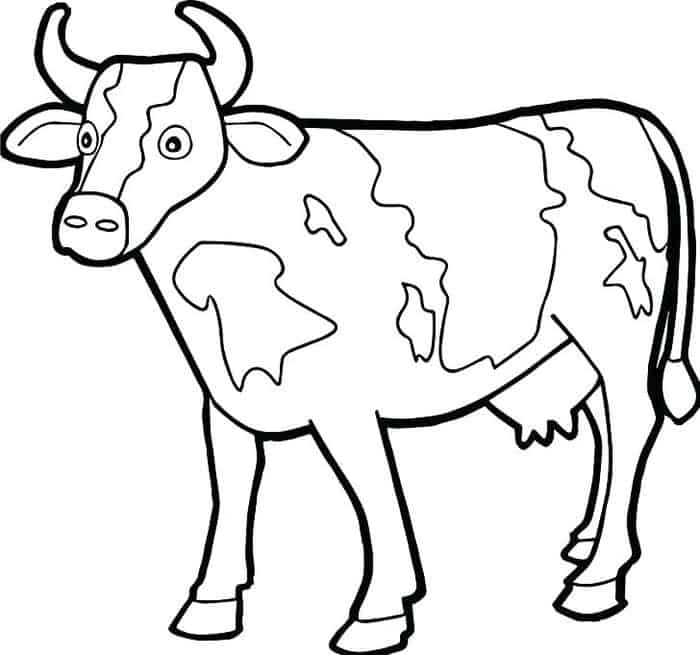Cow Coloring Pages