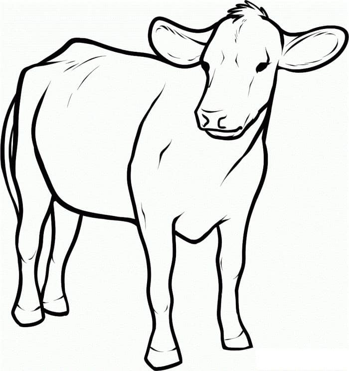 Cow Ears Coloring Pages