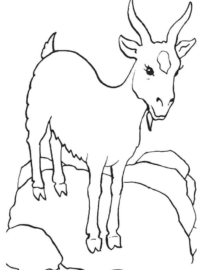 Dairy Goat Coloring Pages