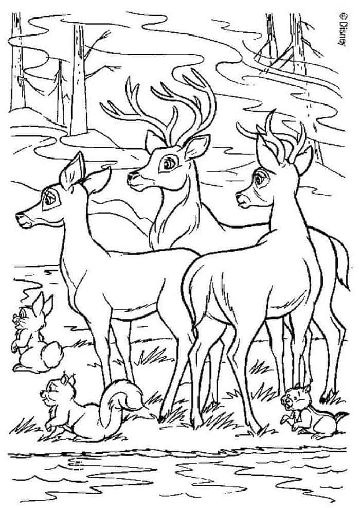 Deer Bambi Coloring Pages