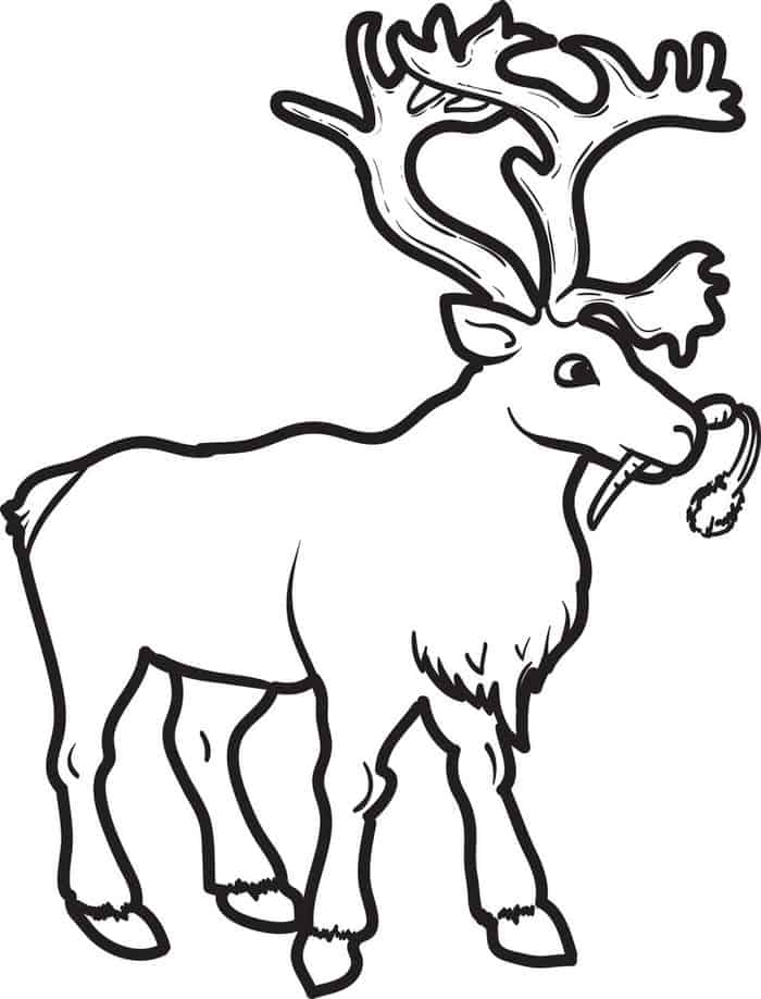 Deer Buck Coloring Pages