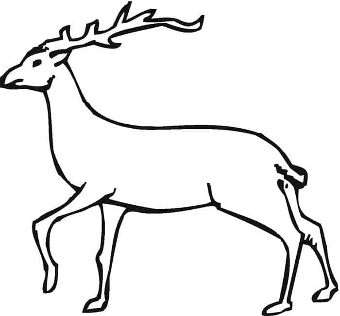 Deer Coloring Pages For Adults