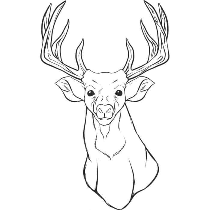 Deer Skull Coloring Pages