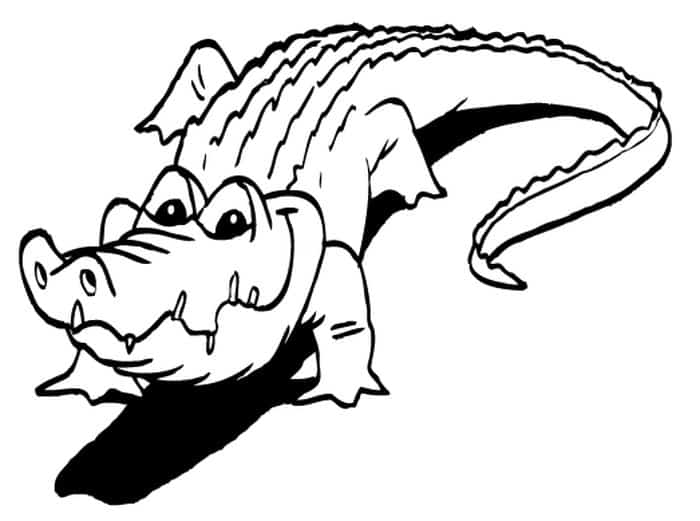Endangered Species Coloring Pages Chinese Alligator