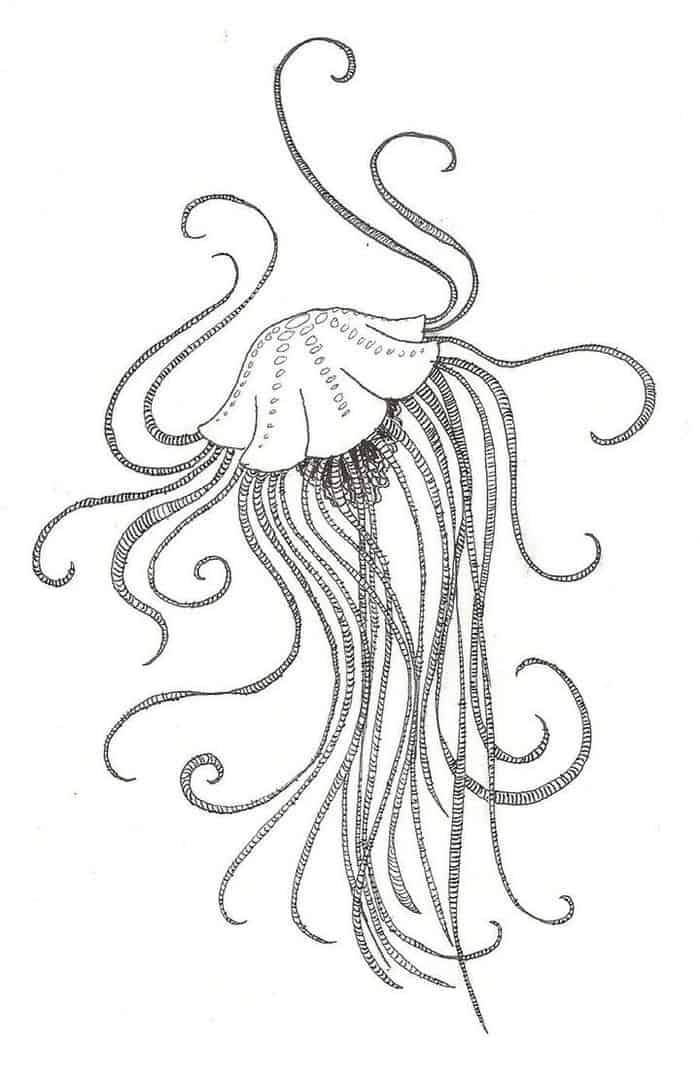 Free Adult Coloring Pages Jellyfish