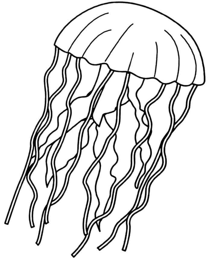 Free Coloring Pages For Adults Jellyfish