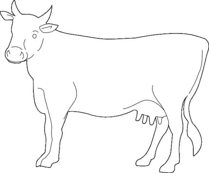 Free Cow Coloring Pages