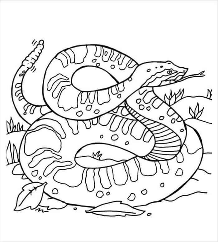 Garter Snake Cartoon Free Coloring Pages