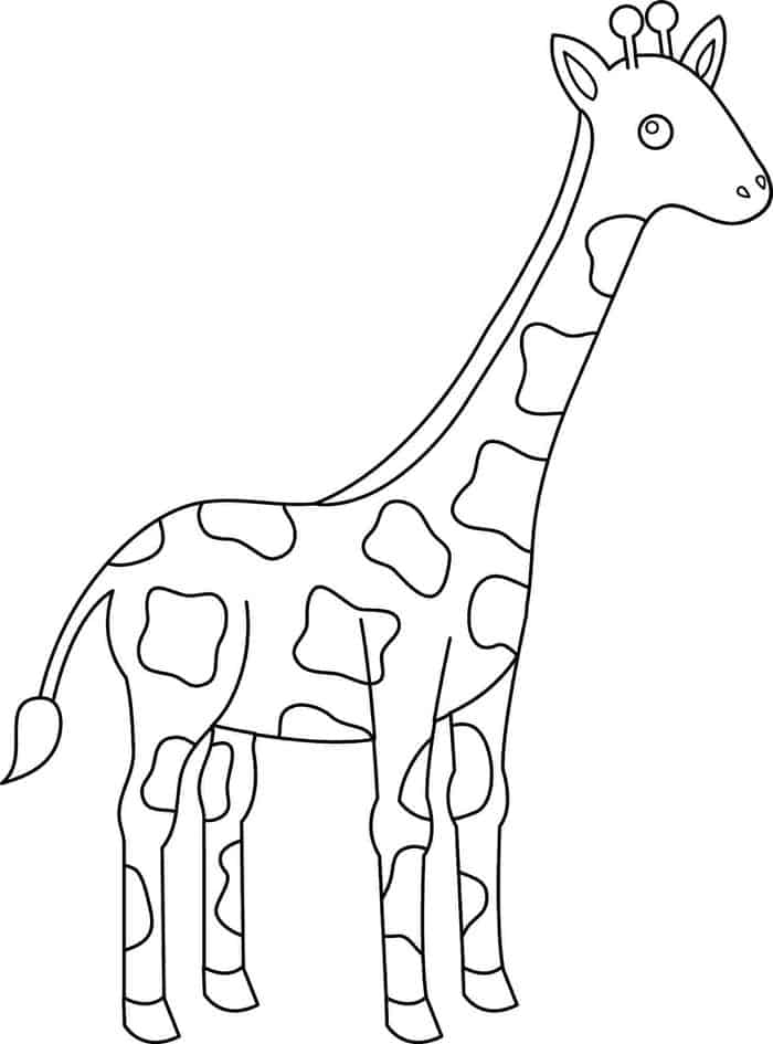 Giraffe Adult Coloring Pages