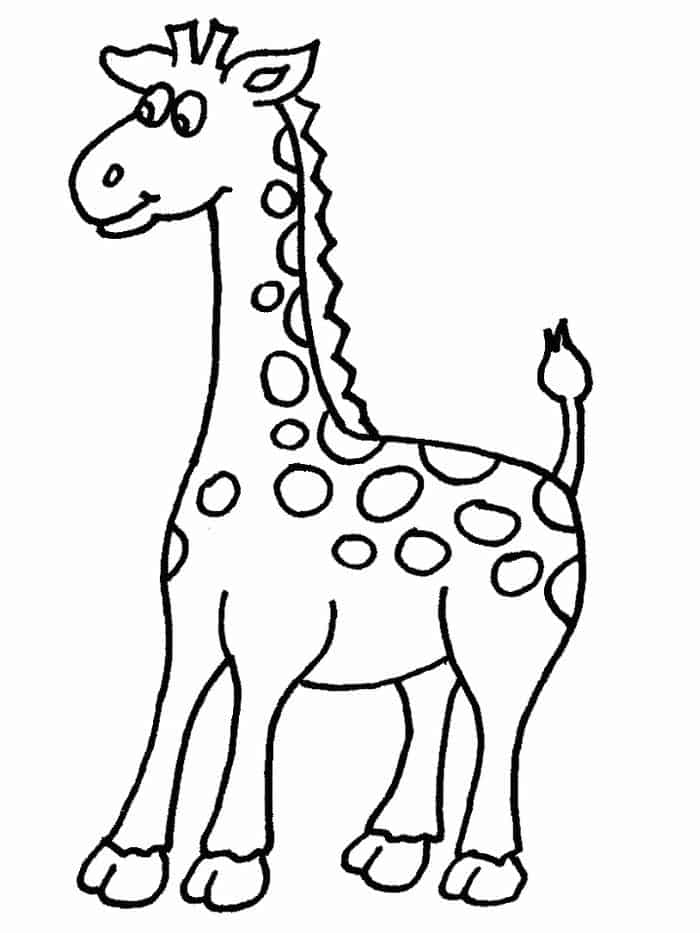 Giraffe Animal Coloring Pages