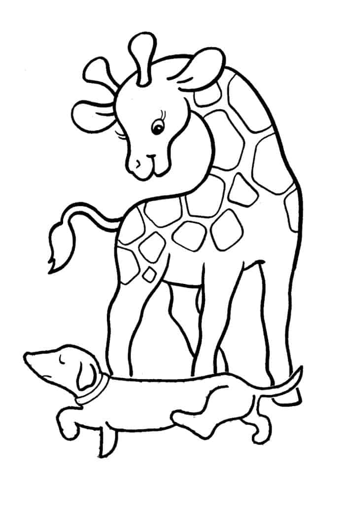 Giraffe Coloring Pages For Kids