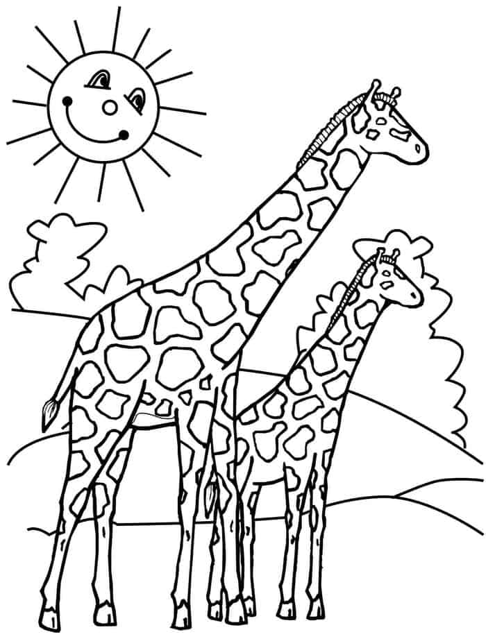 Giraffe Coloring Pages Sun