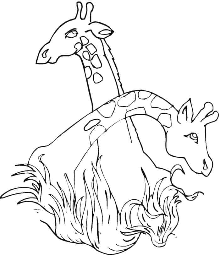 Giraffe Coloring Pages To Print