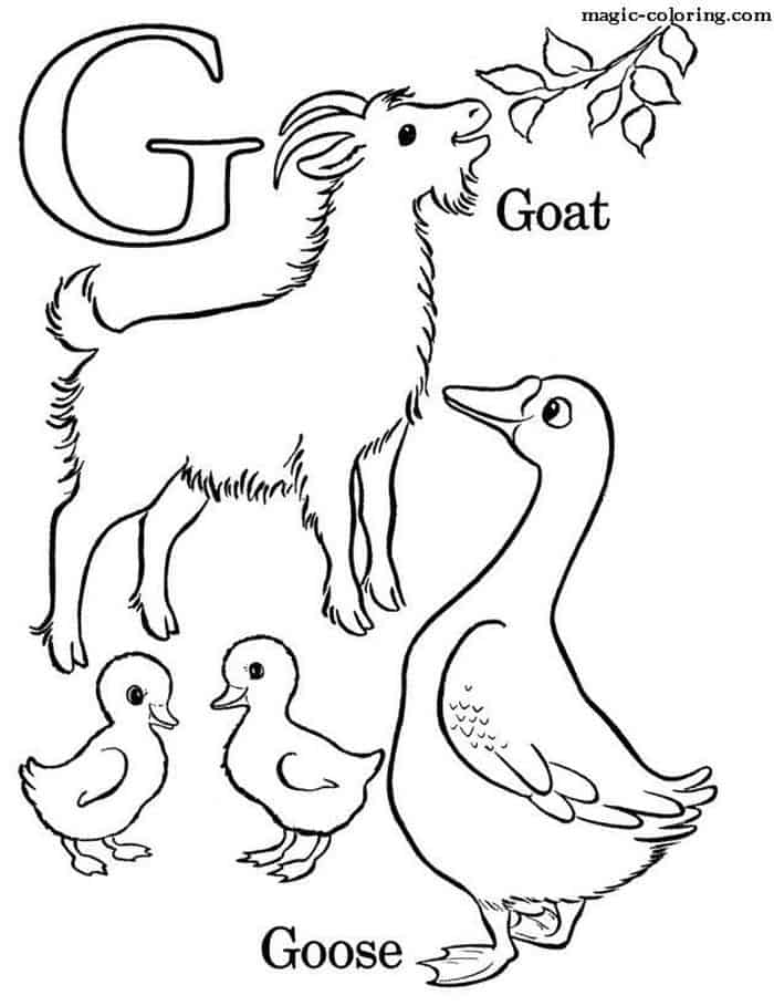 Goat Animal Coloring Pages
