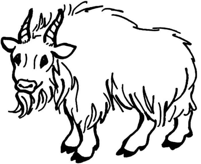 Goat Hair Coloring Pages