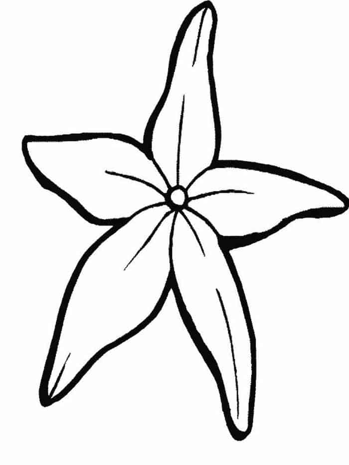 Images Starfish Coloring Pages