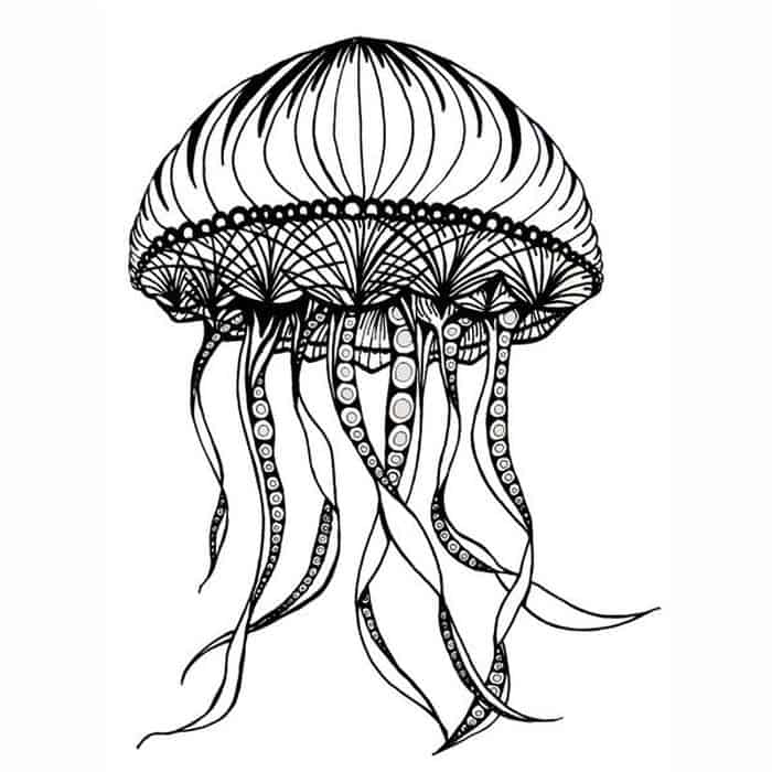 Jellyfish Adult Coloring Pages