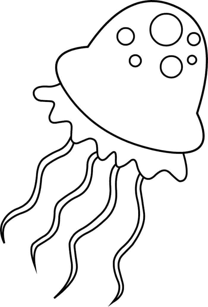 Jellyfish Coloring Pages Adult