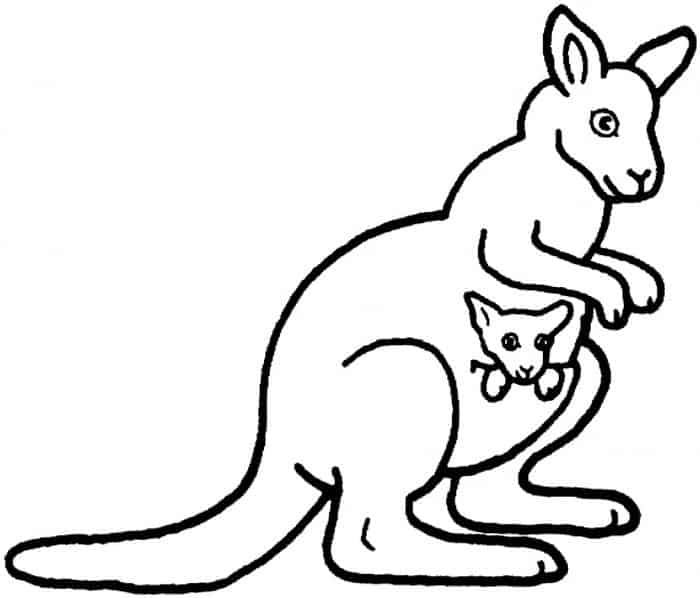 Kangaroo Coloring Page Complex