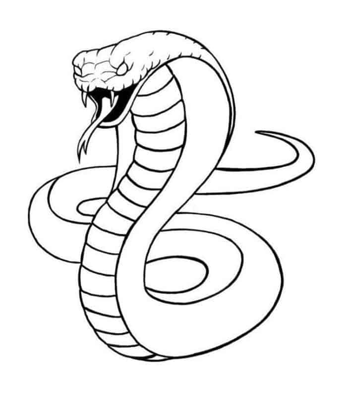King Snake Coloring Pages