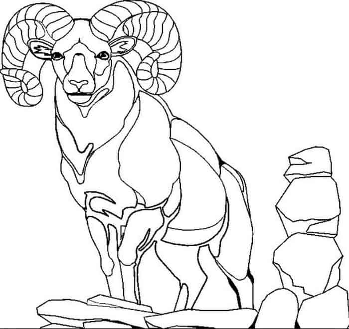 Mountain Goat Coloring Pages