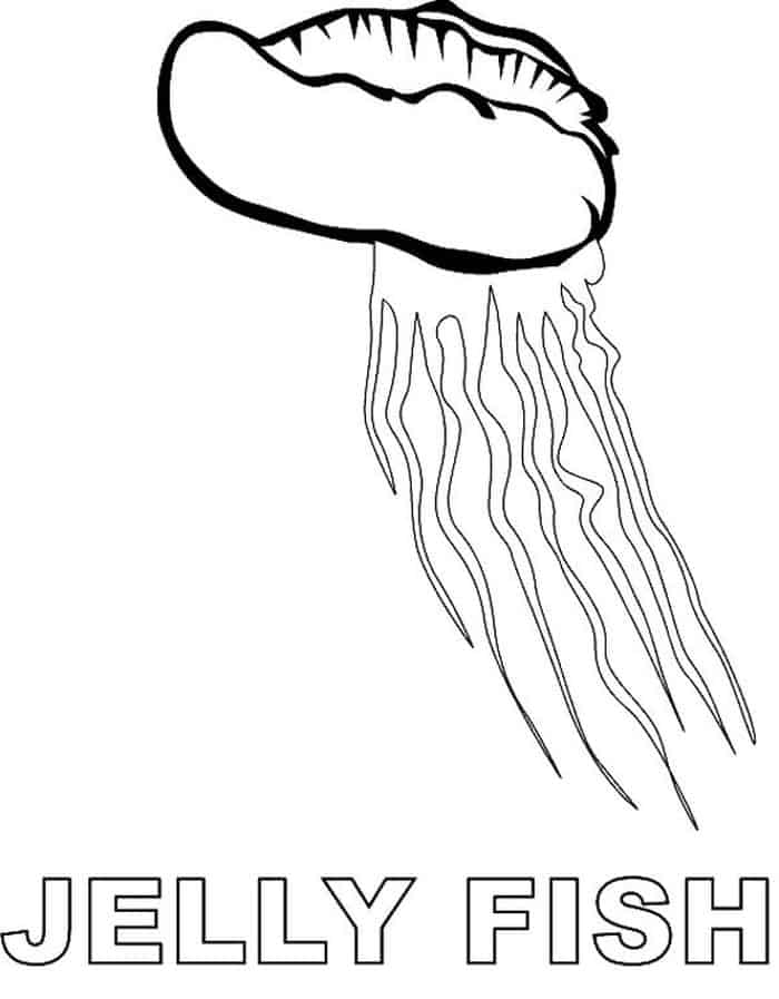 Paisley Coloring Pages Jellyfish