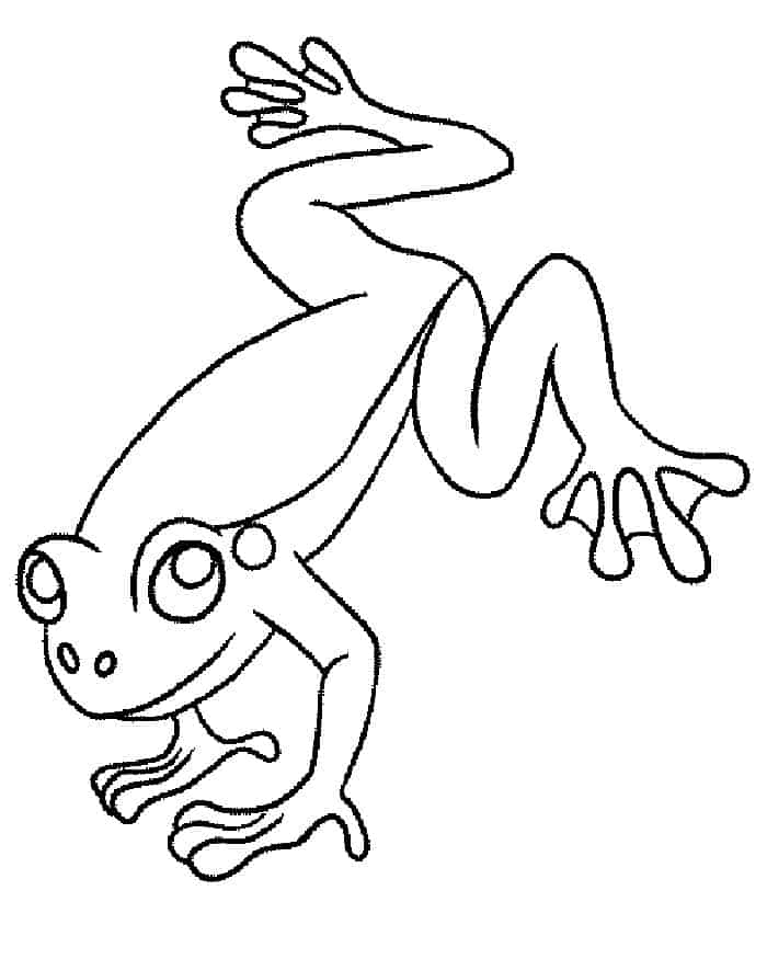 Poison Dart Frog Coloring Pages
