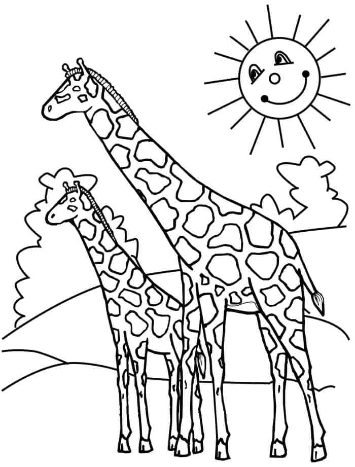 Printable Coloring Pages Giraffe