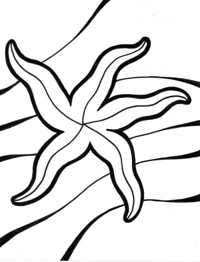 Printable Coloring Pages Of Starfish