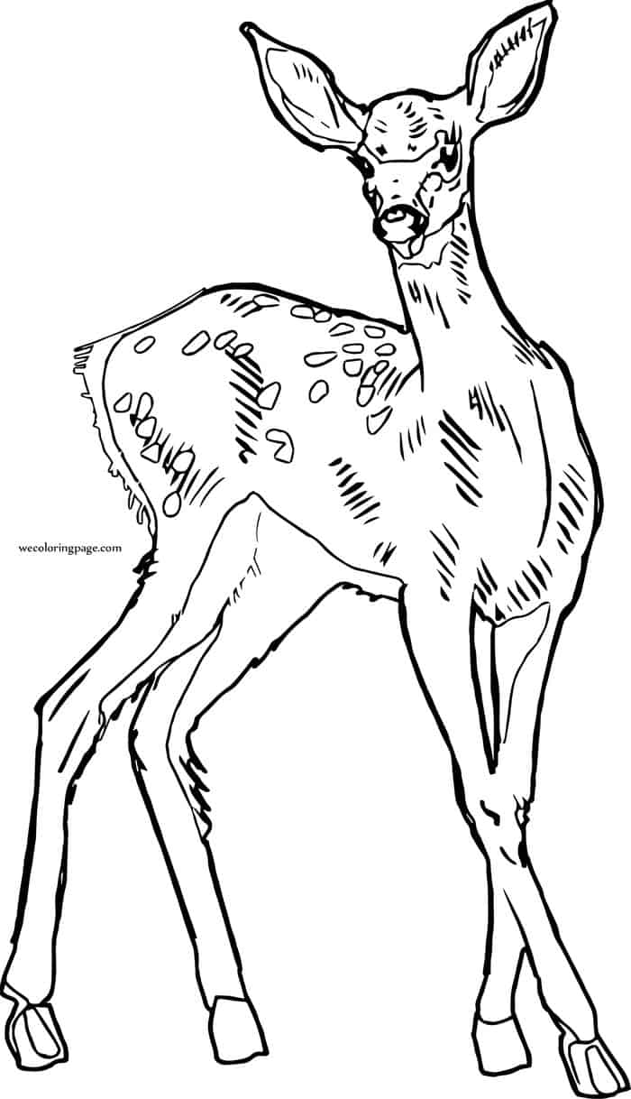 Printable Deer Coloring Pages