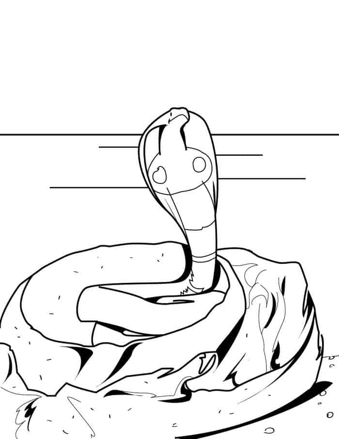 Ring Neck Snake Printable Coloring Pages