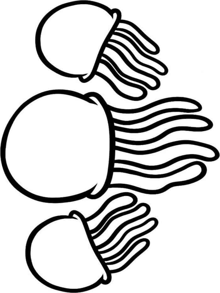 Simple Jellyfish Adorable Coloring Pages