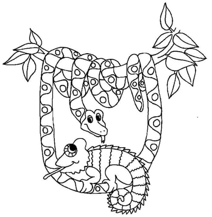 Snake Animal Coloring Pages