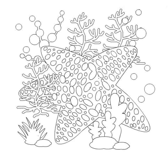 Starfish Adult Coloring Pages