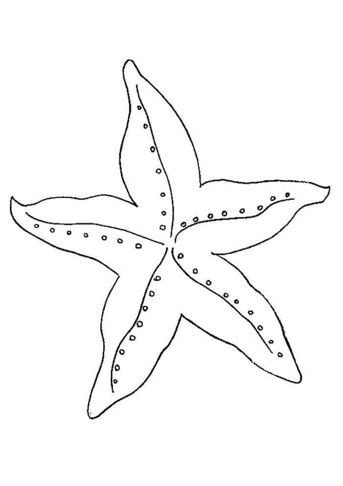 Starfish Coloring Pages Free