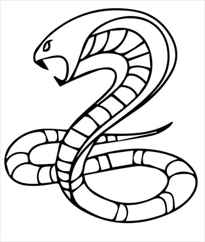 Vine Snake Coloring Pages