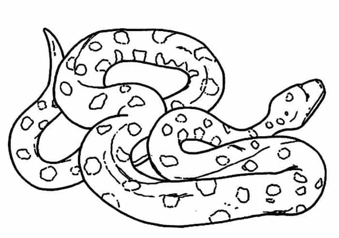 Viper Snake Coloring Pages