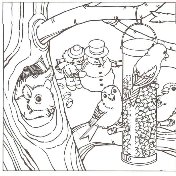 Winter Birds Coloring Pages