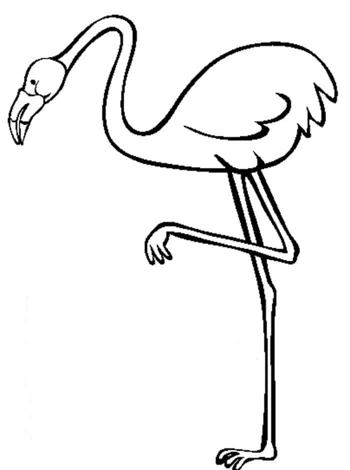 coloring pages of flamingo