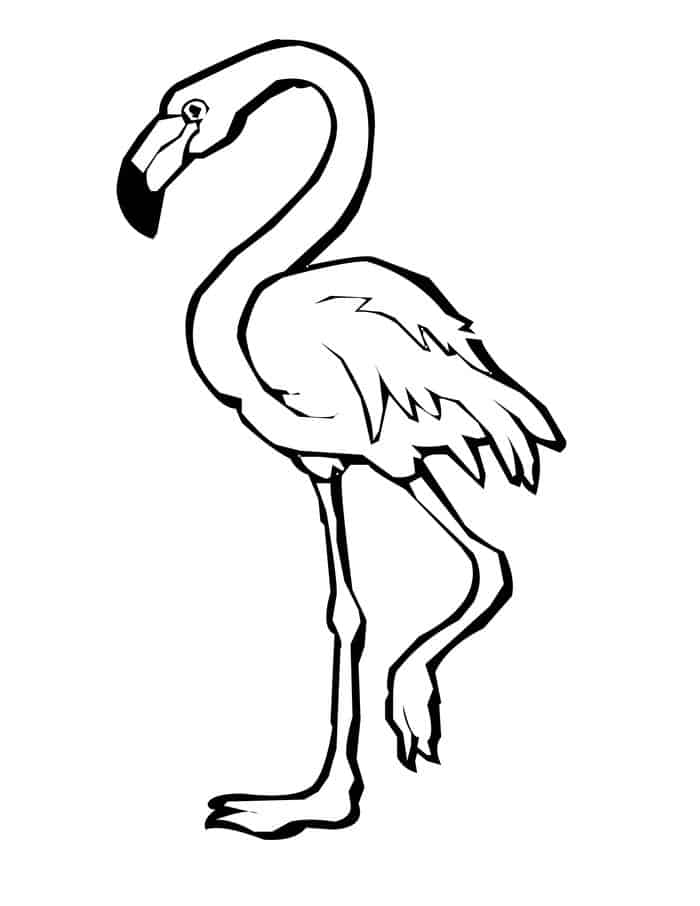 cute animal coloring pages flamingo