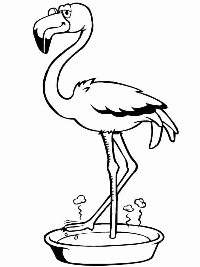 flamingo adult coloring pages