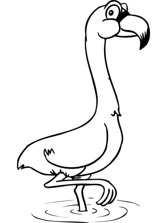 flamingo coloring pages for adults to print